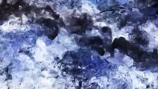THE FLORAL FAERIES - short film