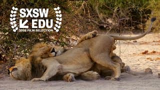 Second Nature - Official Trailer