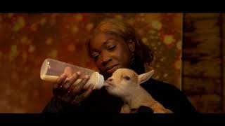 The Christmas Twin - Trailer 2024