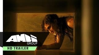 International Trailer