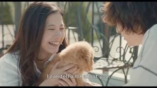 YOUR EYES TELL Trailer English Subtitled