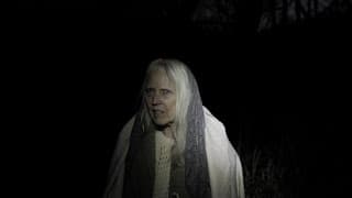 Building the Swarm - Horror Short Post Production (People, People, People!)