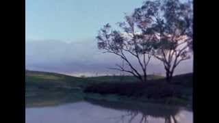 My Survival as an Aboriginal Official Trailer