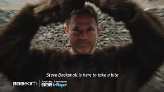 Deadly Predators | BBC Earth | BBC Player