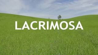 Lacrimosa Official Trailer #2