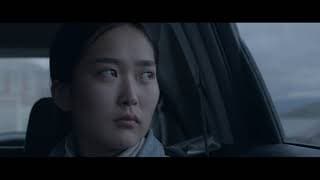 #BIFF2020 Wide Angle - Mountain Cat / 와이드 앵글 - 호랑이