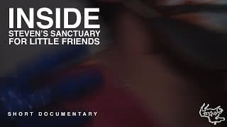 Inside Steven's Sanctuary For Little Friends | Short Documentary