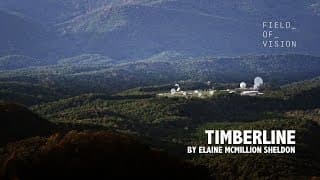 Field of Vision - Timberline