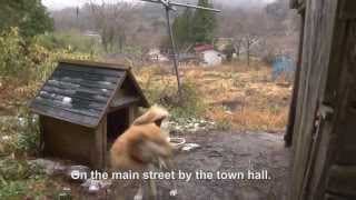 Hidden Contamination -Trailer 【2015 Documentary Film】
