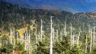 Smoky Mountain Explorer - An Island in the Sky Trailer