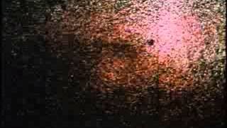 Psych Burn (1968) - JX Williams