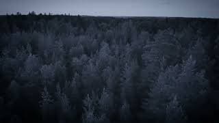 Teaser for 'In The Earth'
