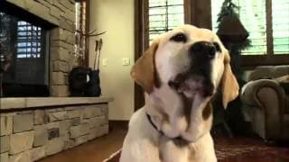 The Dog Who Saved Christmas Vacation | Trailer (2010) | Mario Lopez, Paris Hilton, Dean Cain