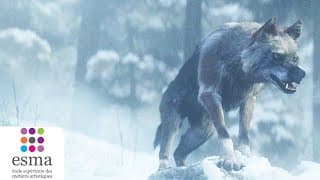 Alone a wolf's winter - ESMA 2020
