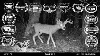 Posted No Hunting | Award-Winning Stop Motion Animated Found Footage Horror Short | Oddframe Films