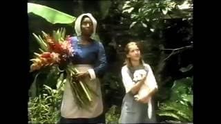 The Orchid House clips - Jessica Marshall-Gardiner