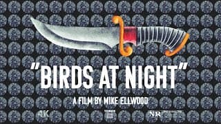 TRAILER | Birds at Night | a film by Mike Ellwood