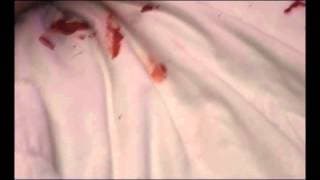 Motel 666 Teaser 5