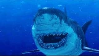 Shark of Darkness: Wrath of Submarine