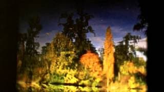 Un automne à Paris