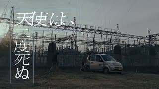 映画『天使は、二度死ぬ』予告