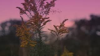 Frail Grounds Teaser Trailer