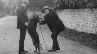 The Dog Detective (aka £100 Reward)
