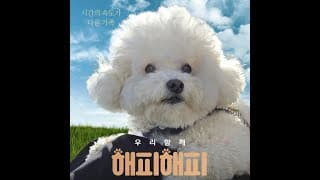 영화 해피해피 영문 예고편