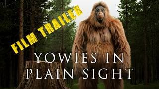 Film Archives: Yowies in Plain Sight | Teaser