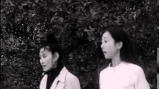 A Summer Family trailer