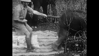 Indian Elephants in the Service of Man (1938) - amateur film by Jim Corbett