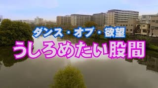 OP PICTURES  2025年8月15日(金)より公開！   渡邊組  予告