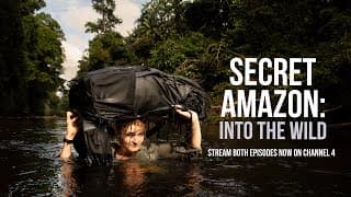 ‘SECRET AMAZON: INTO THE WILD’ on Channel 4 - First Look