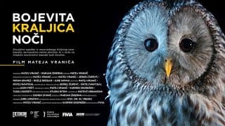 Bojevita kraljica noči | v kinu od 5.10.2024