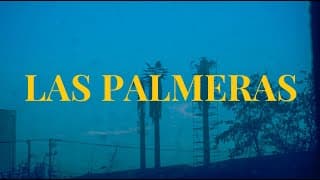 Las Palmeras (Documental Niños del Cerro)