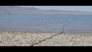 TEASER TRAILER 1 - THE LEGEND OF THE BEAR LAKE MONSTER