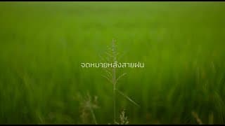 Tester - Letter After Rain | CineFilm Action Film