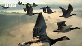 BBC's Earthflight - Trailer