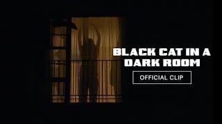 Black Cat in a Dark Room | Trailer
