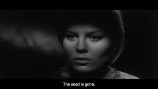 THE GOLDEN FERN (1963) Restoration Trailer