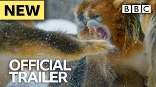 Seven Worlds, One Planet: Trailer - BBC