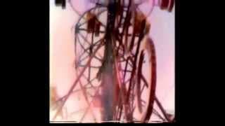THE DEATH OF OCEAN VIEW PARK (TV MOVIE TRAILER)