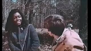 3 In the Attic 1968 trailer