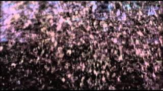 GENERATOR  Trailer