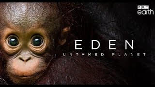 Trailer: «Eden: Untamed Planet»