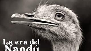 La era del Ñandú - Carlos Sorín