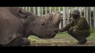 Hot Docs 2019 Trailers: KIFARU