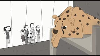 Animated Short Film - We Love Animals (Calarts)