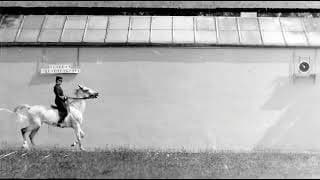 CHEVAL BAI, MONTE, TROT (1899) Silent film [Étienne-Jules Marey]