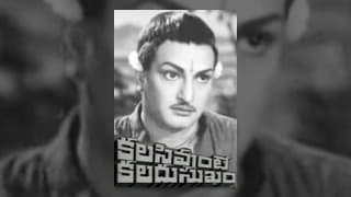 Kalasi Unte Kaladu Sukham Full Length Movie | NTR, Savitri